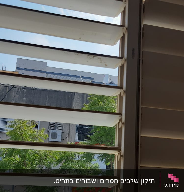 תריסים פתוחים עם נוף של בניין ועצים בחוץ